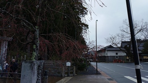 KIMG20260407_094325664