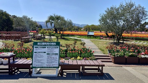 KIMG20260408_095432246