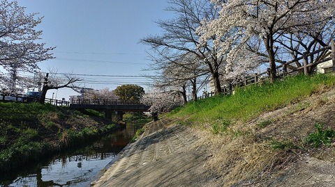 KIMG20260403_082706960