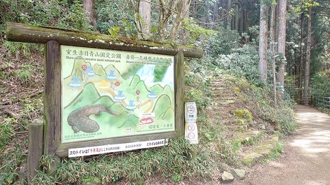 KIMG20260417_115108552