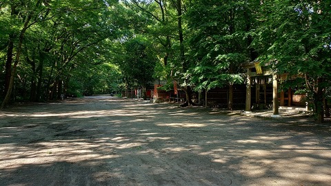 KIMG20260611_075229371