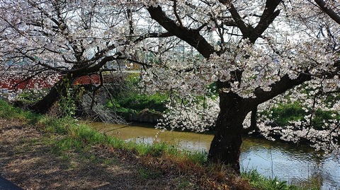 KIMG20260403_082431134