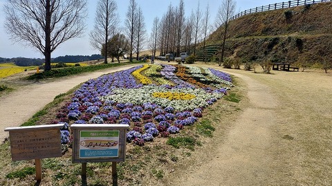 KIMG20260324_115409325