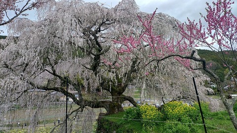 KIMG20260331_112944643