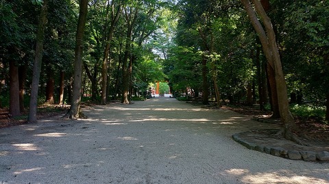 KIMG20260611_075346336