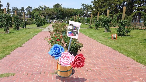 KIMG20260502_105249608