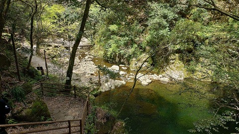 KIMG20260417_122923953