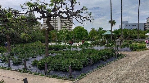 KIMG20260422_101807838