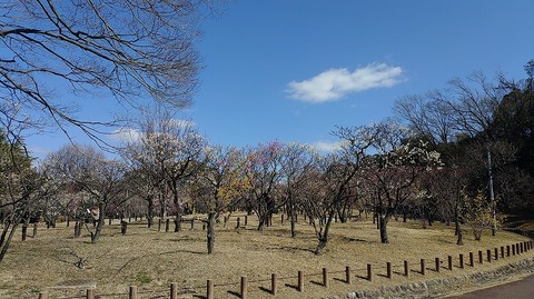 KIMG20260219_121715883