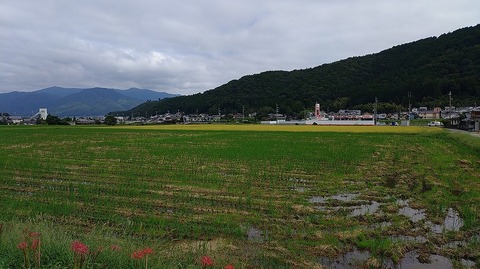 KIMG20260930_113317592