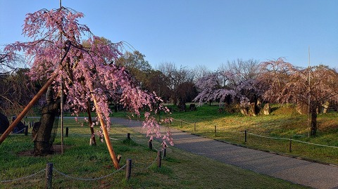 KIMG20260327_062908971