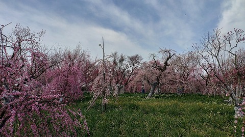 KIMG20260224_123849143