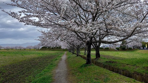 KIMG20260331_103444975