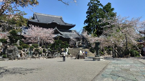 KIMG20260408_104417588