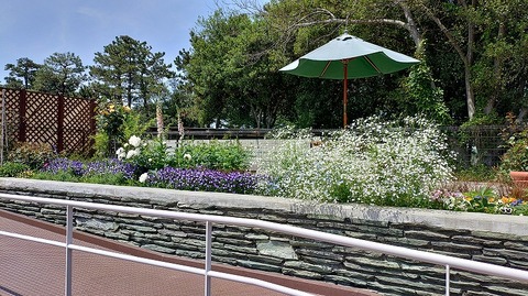 KIMG20260502_105927536