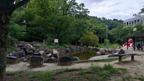 KIMG20260906_073753383