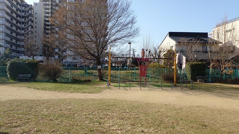 KIMG20260301_083239587