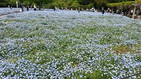 KIMG20260422_102117526