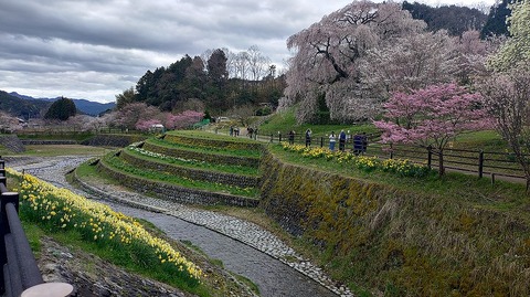 KIMG20260331_113408848