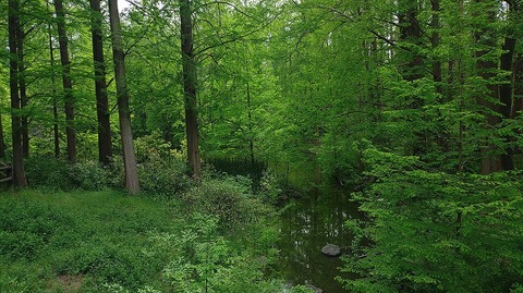 KIMG20260422_100221843