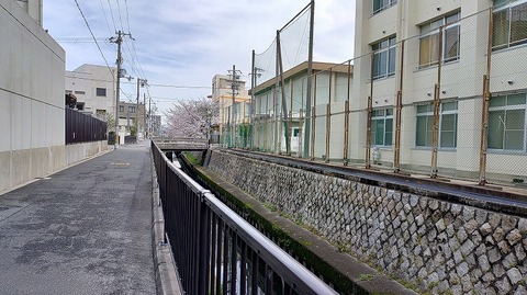 KIMG20260405_105718963