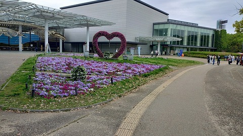 KIMG20260422_102758438