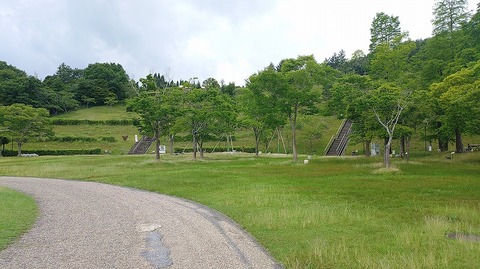 KIMG20260704_114242382