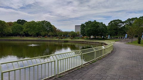 KIMG20260422_095204987