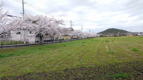 KIMG20260331_103450555