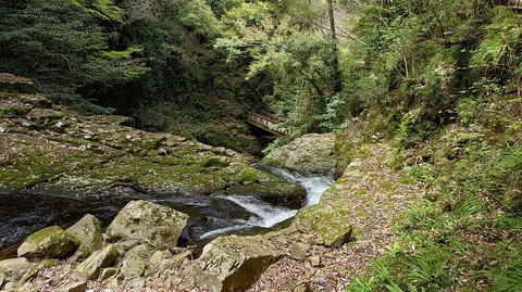 KIMG20260417_120905291