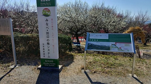 KIMG20260218_124903238