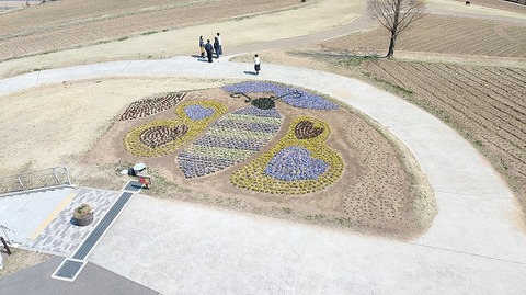 KIMG20260324_120823664