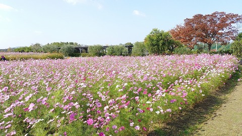 KIMG20251114_103241803