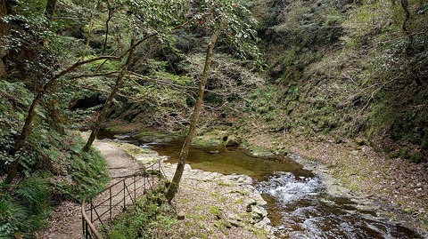 KIMG20260417_120849842