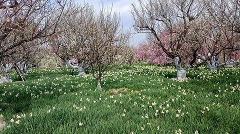 KIMG20260224_124031425