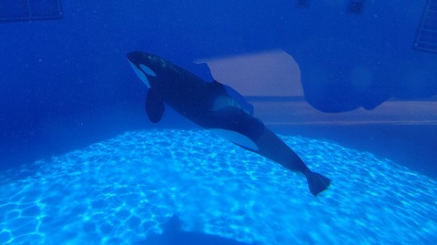 KIMG20251008_112543669