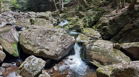 KIMG20260417_122124756