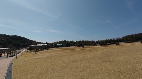 KIMG20260317_115504294