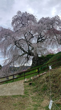 KIMG20260331_113118924