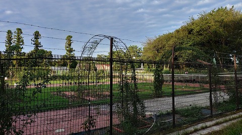 KIMG20260918_063704580