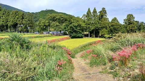 KIMG20251002_111029221