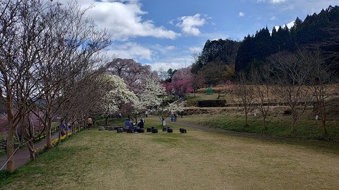 KIMG20260331_112251624