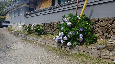 KIMG20260618_094941698