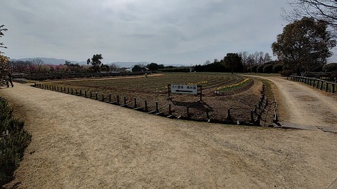 KIMG20260224_124650510 - コピー