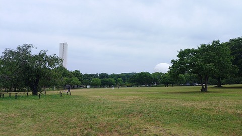 KIMG20260730_060359081