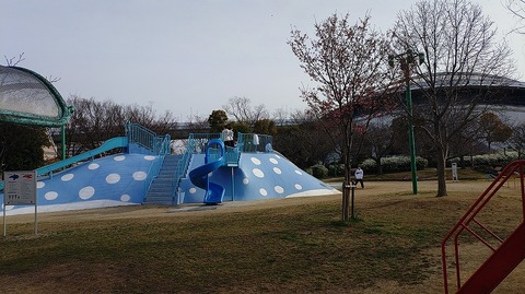 KIMG20260322_080323378