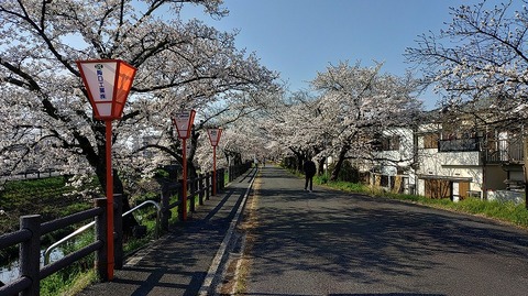 KIMG20260403_084247697