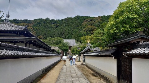 KIMG20260618_095613994