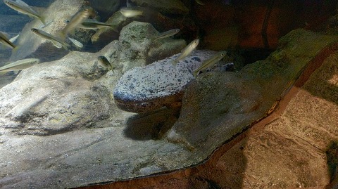 KIMG20260417_115517737