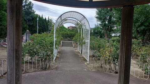 KIMG20260906_075347149
